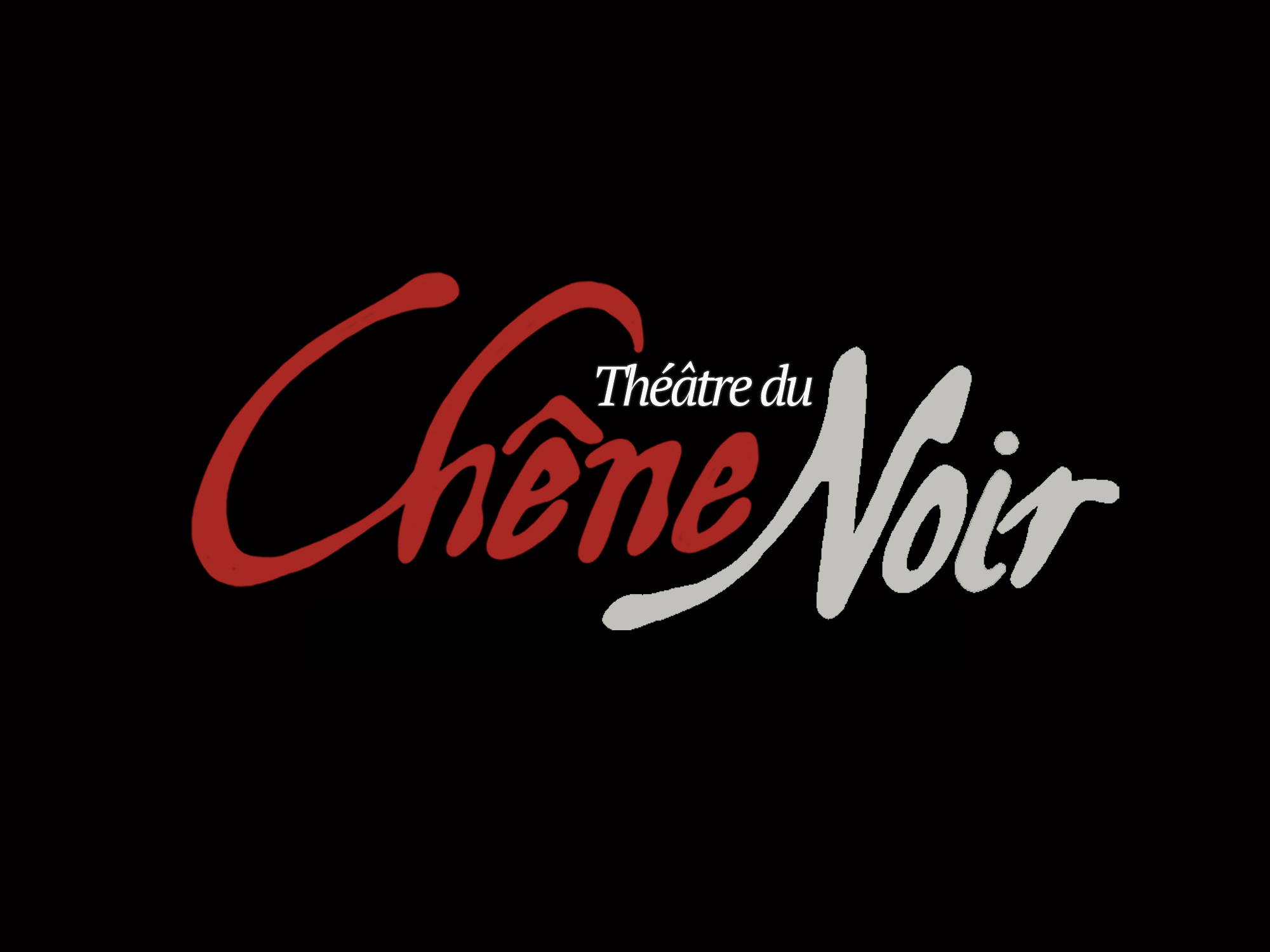 Théâtre du Chêne Noir - Avignon